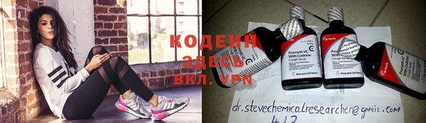 ГАЛЛЮЦИНОГЕННЫЕ ГРИБЫ Арсеньев