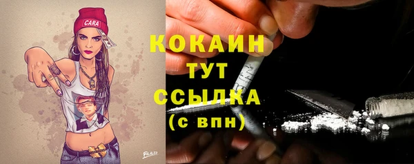 МДПВ Козельск