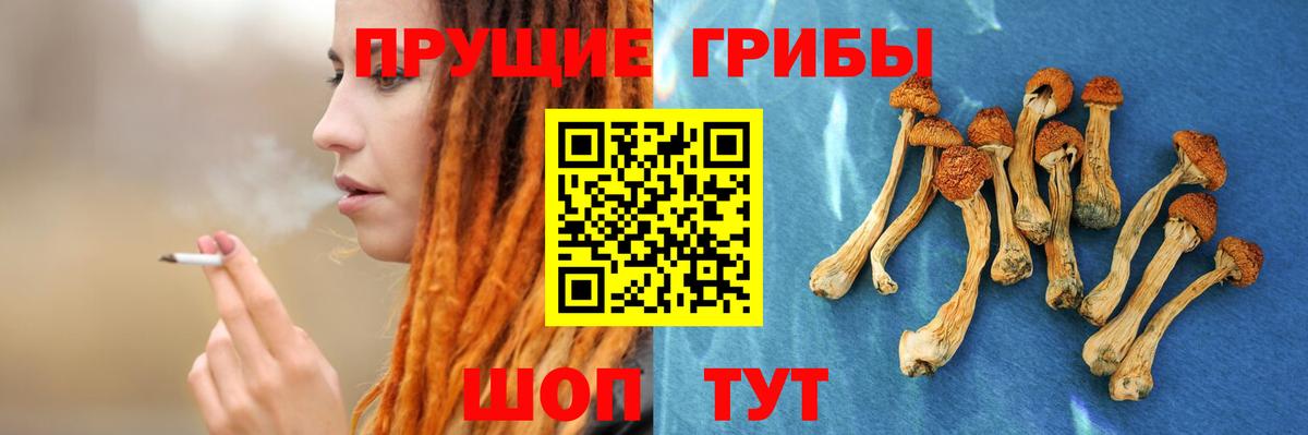 Комсомольск-на-Амуре  Псилоцибиновые грибы Psilocybe  Галлюциногенные грибы Psilocybe  продажа наркотиков  Вход с VPN 